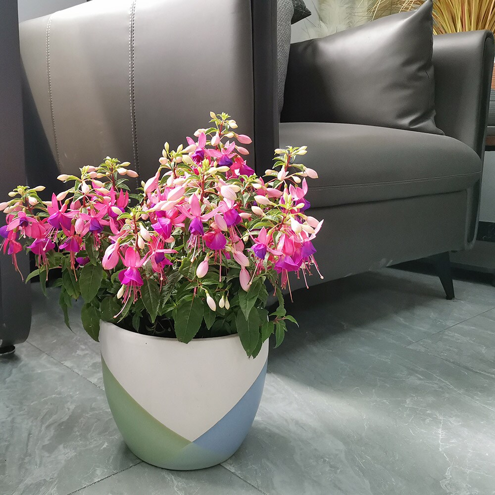Origin 21 2353 CRS2 Planter-Window-Box - View #7