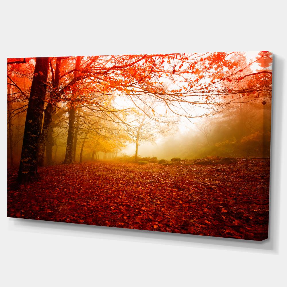 Designart PT9558-40-20 Wall-Art - View #2