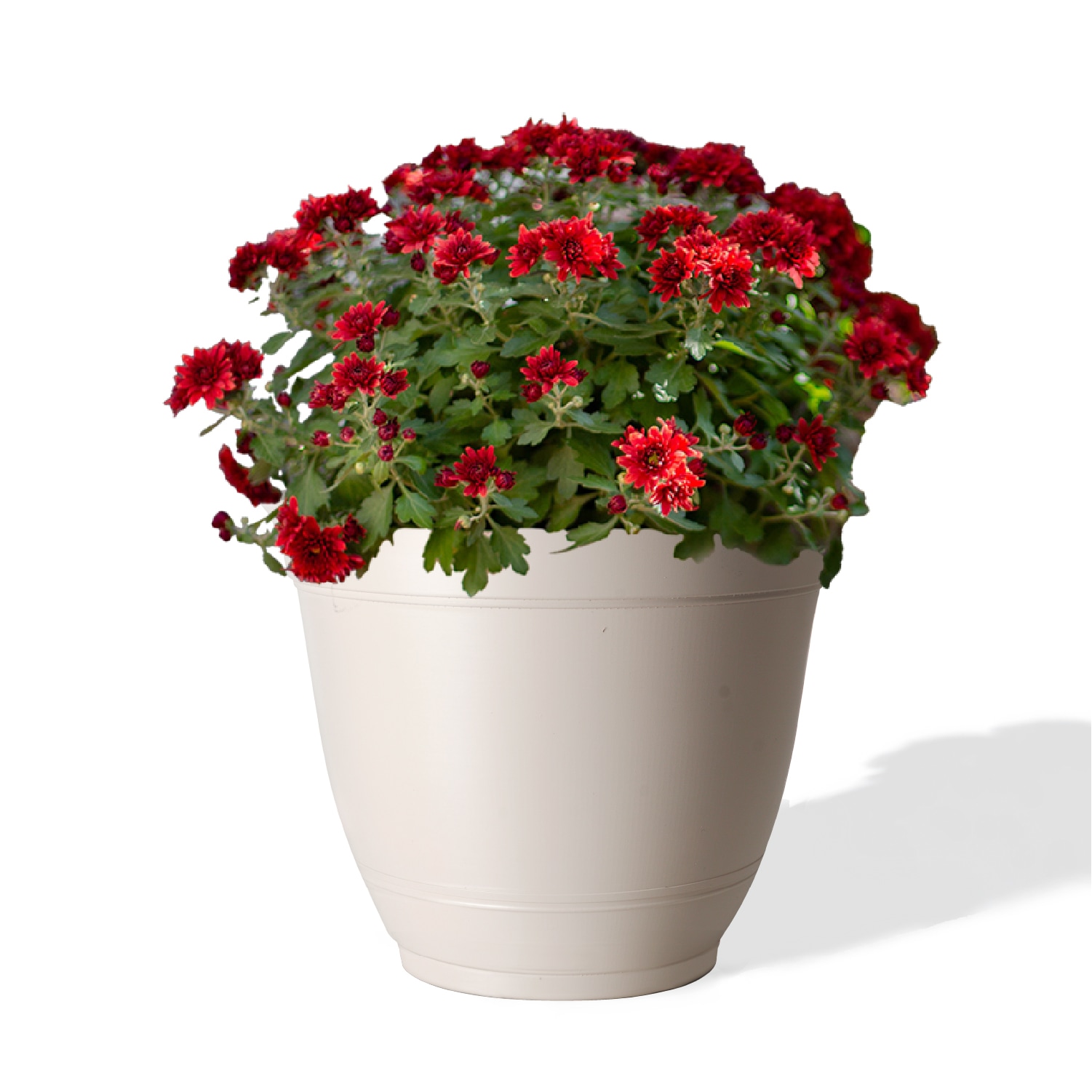 Style Selections DP2132T-WH Planter-Window-Box - View #2