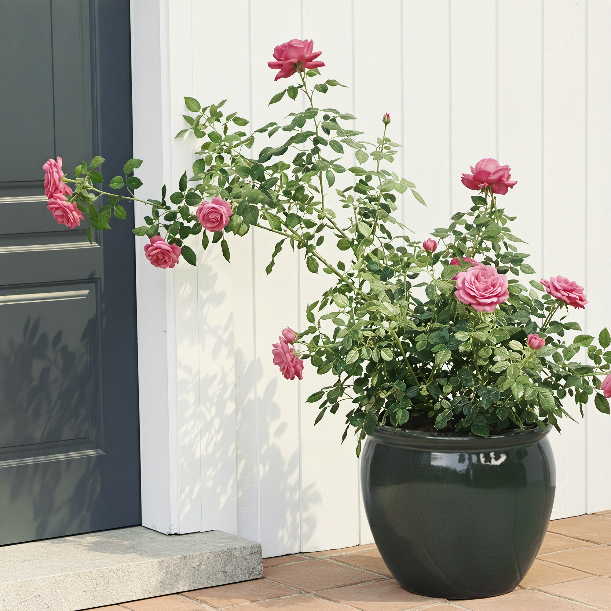 Dovelina FXLS0103-102910 Planter-Window-Box - View #2