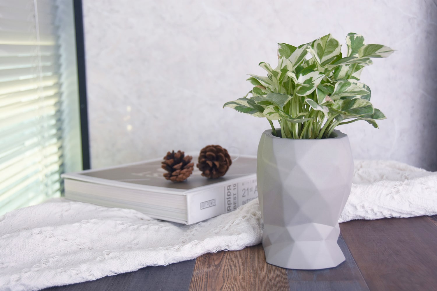 Modeno EN-MF2193M Planter-Window-Box - View #4