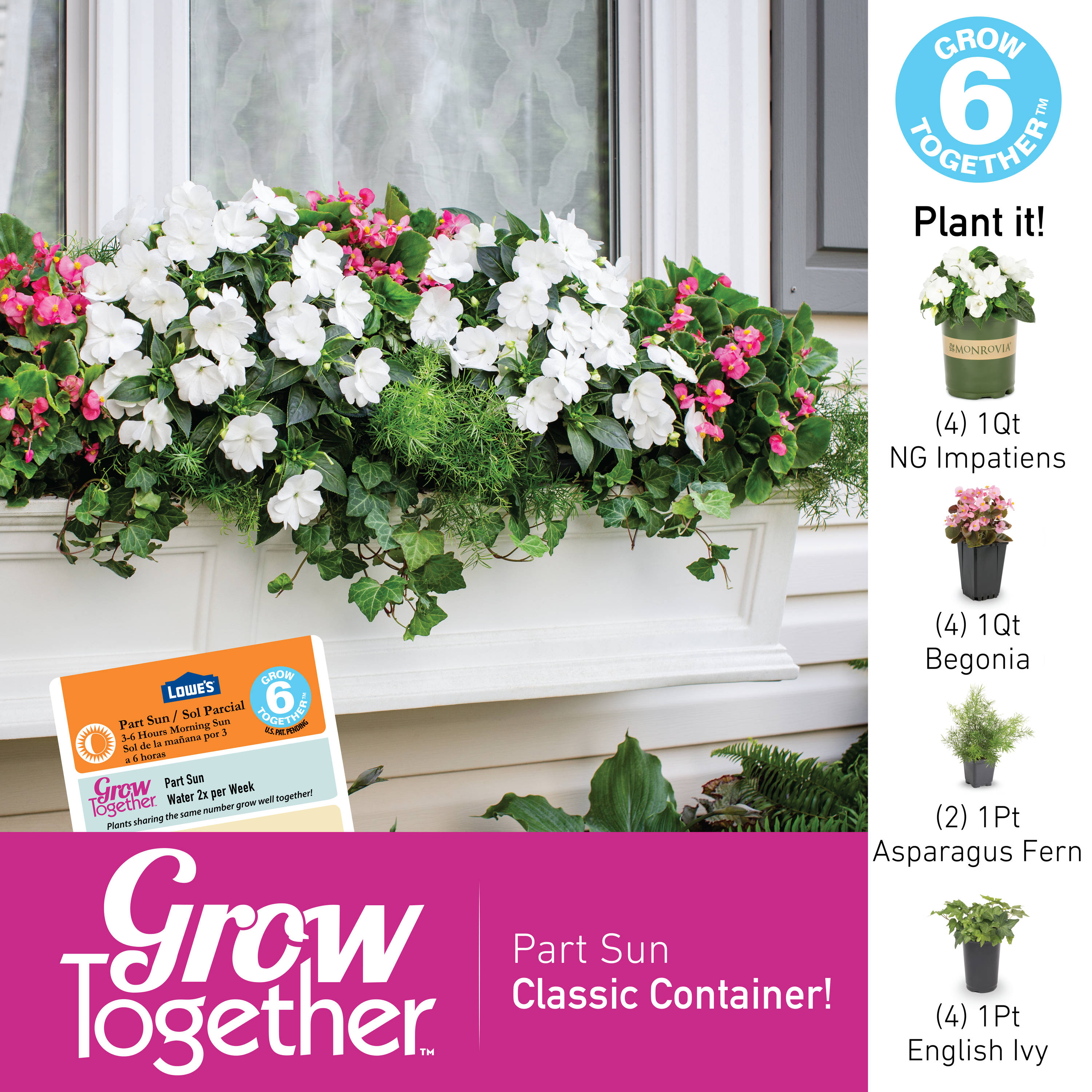 Monrovia 79181 annuals - View #4