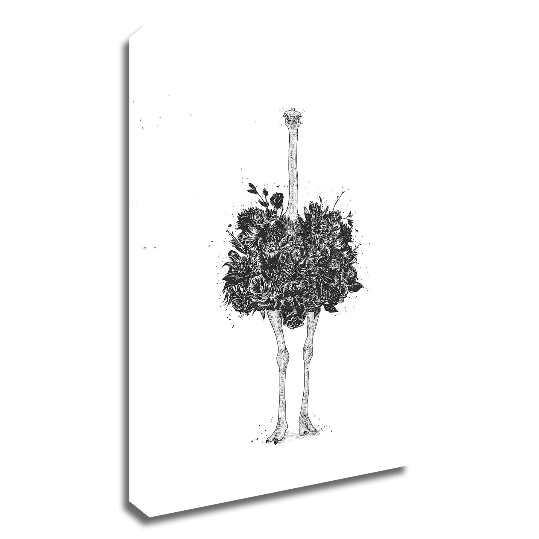 Tangletown Fine Art 8S1763DC-2028 Floral Ostrich Balazs Solti 28-in H x 20-in W Animals Print on Canvas