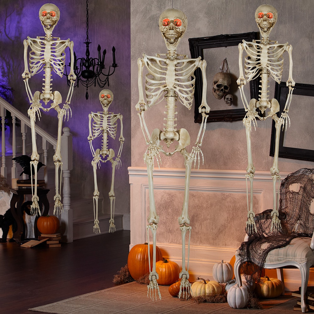 Haunted Living 5-ft 4-Pack Bone Skeletons in the Halloween Decor ...
