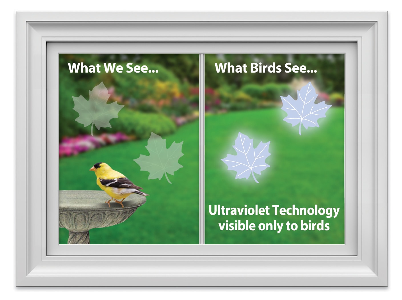 WindowAlert MAPLE LEAF DECALS Bird-Feeder-Accessories - View #2