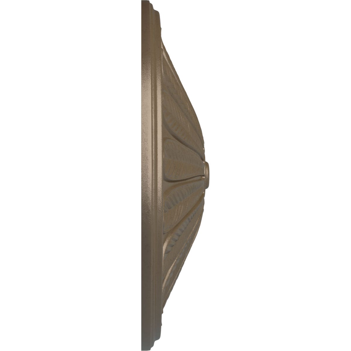 Ekena Millwork CM25BRWSS Ceiling-Medallions - View #3