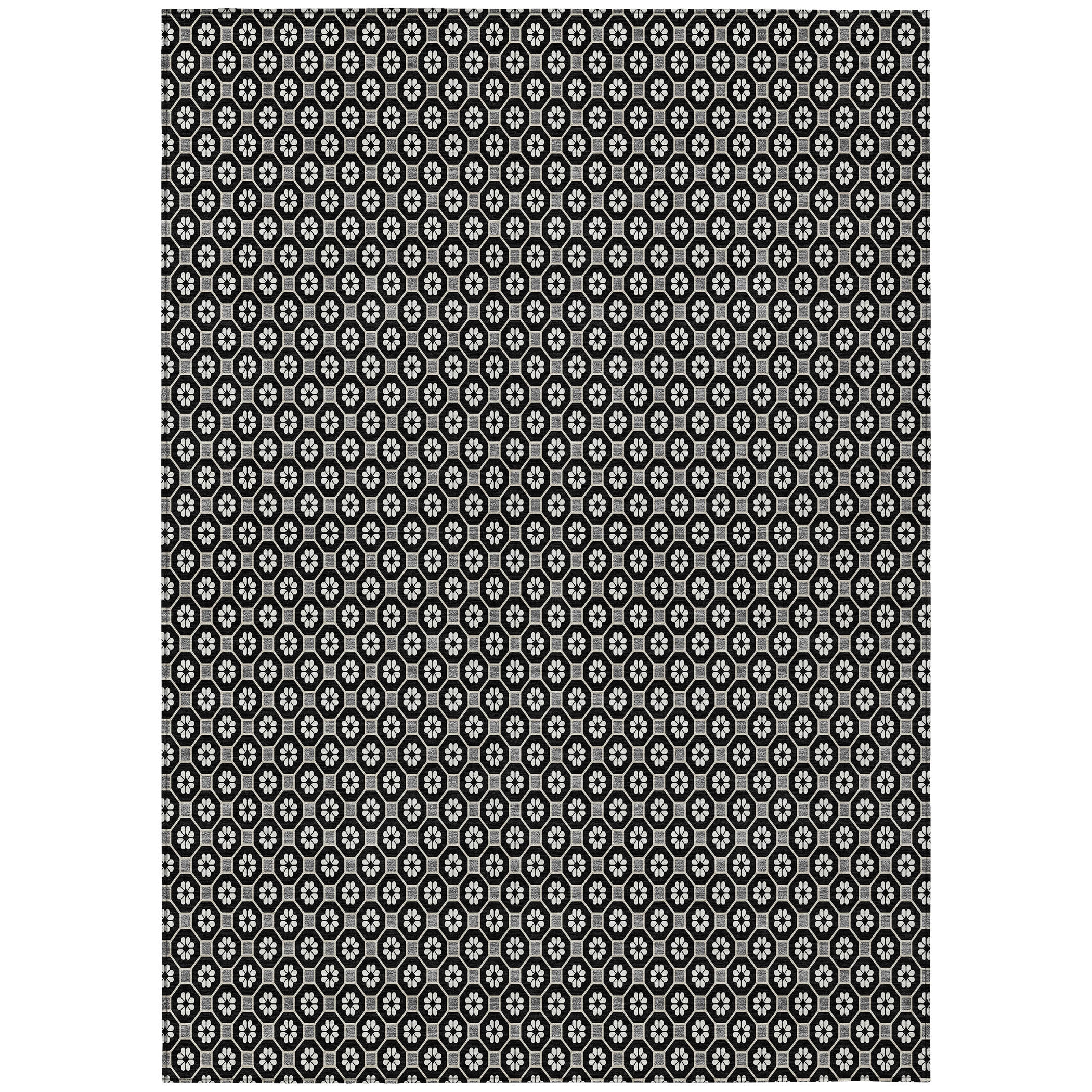 Addison Rugs ACN1429BK30X46 rugs - View #2