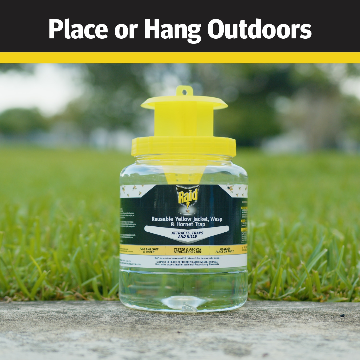 Raid Reusable Yellow Jacket, Wasp and Hornet Trap , yellow jacket bait