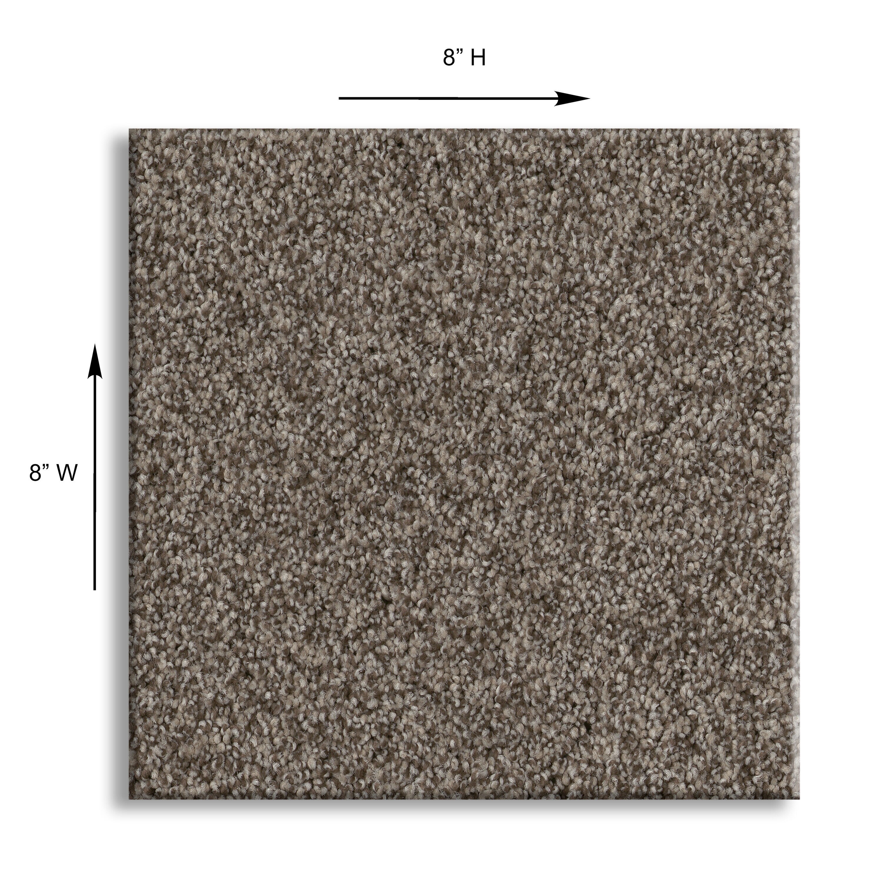 STAINMASTER PetProtect 7L858 - 536 - SAMP Carpet-Samples - View #9