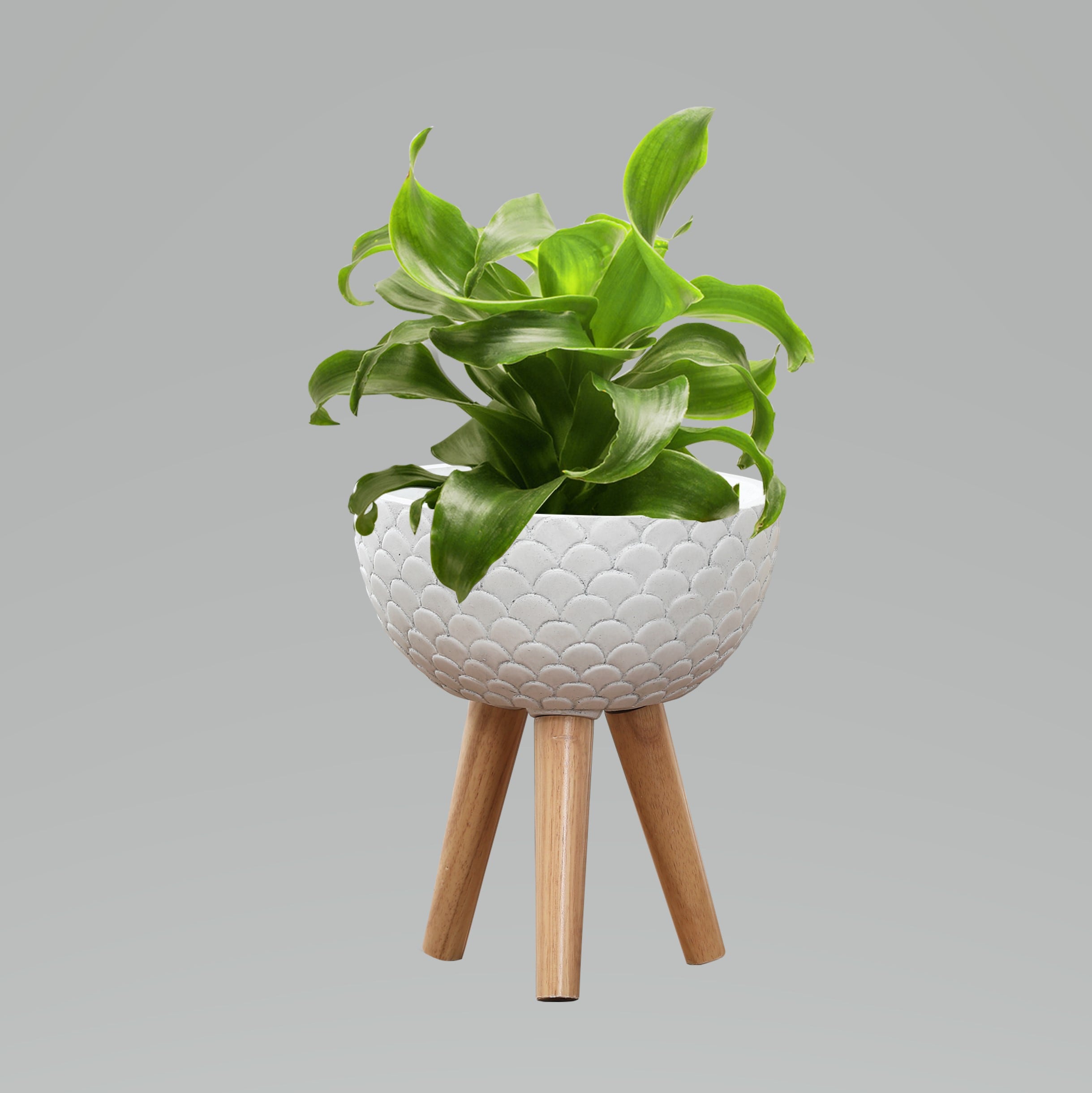 LuxenHome WHPL1361 Planter-Window-Box - View #5