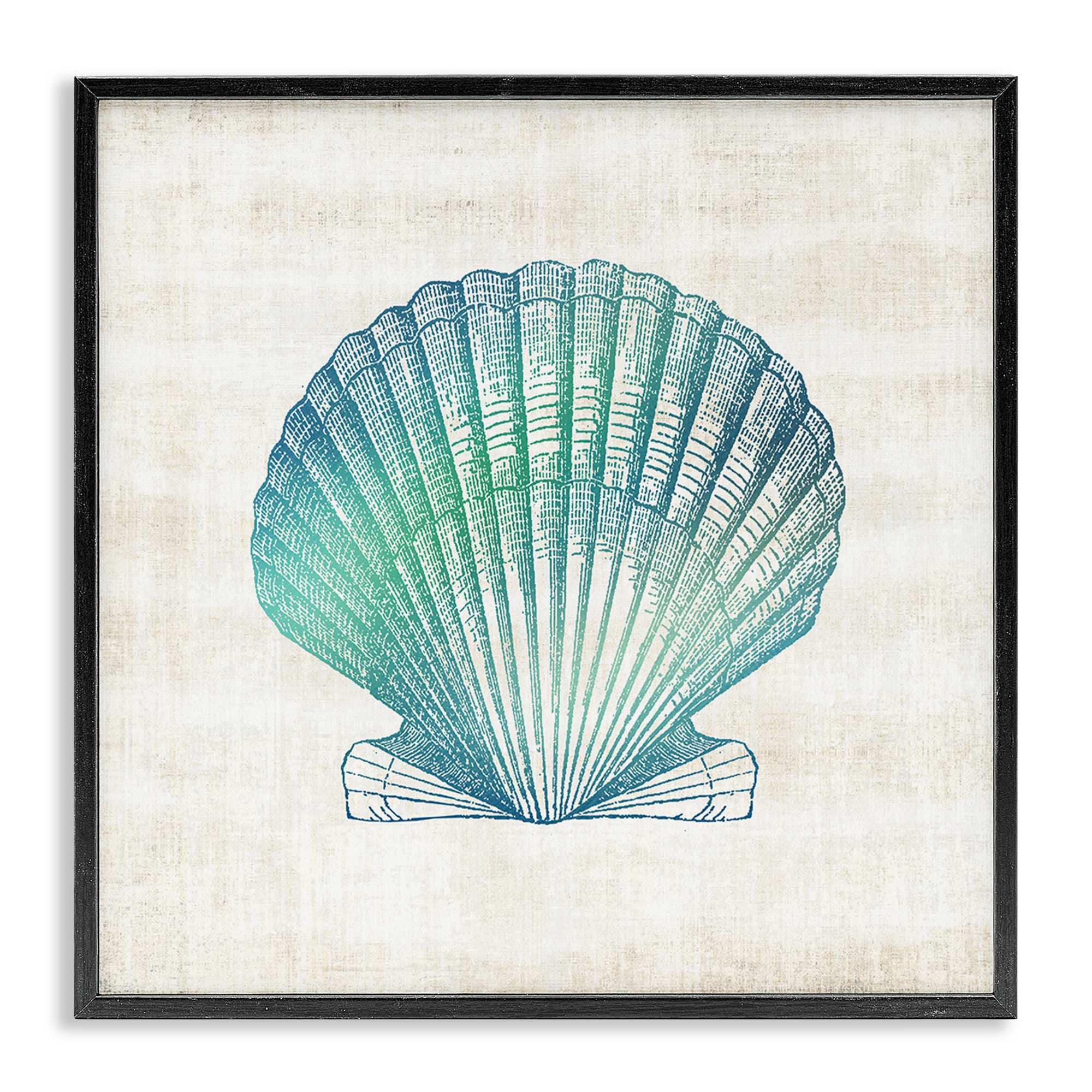 Stupell Industries BS-161-FR-24X24 Gradient Clam Seashell Black Framed Giclee Art By Susan Arnot 24 x 24