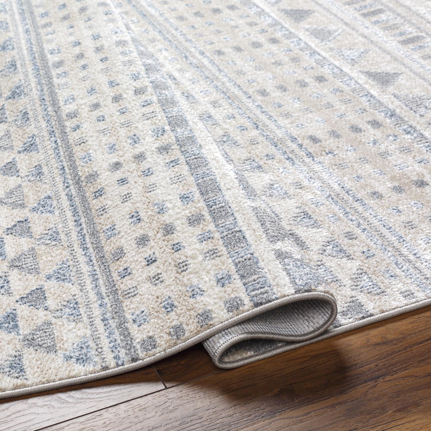 Livabliss SNN2305-679 rugs - View #5