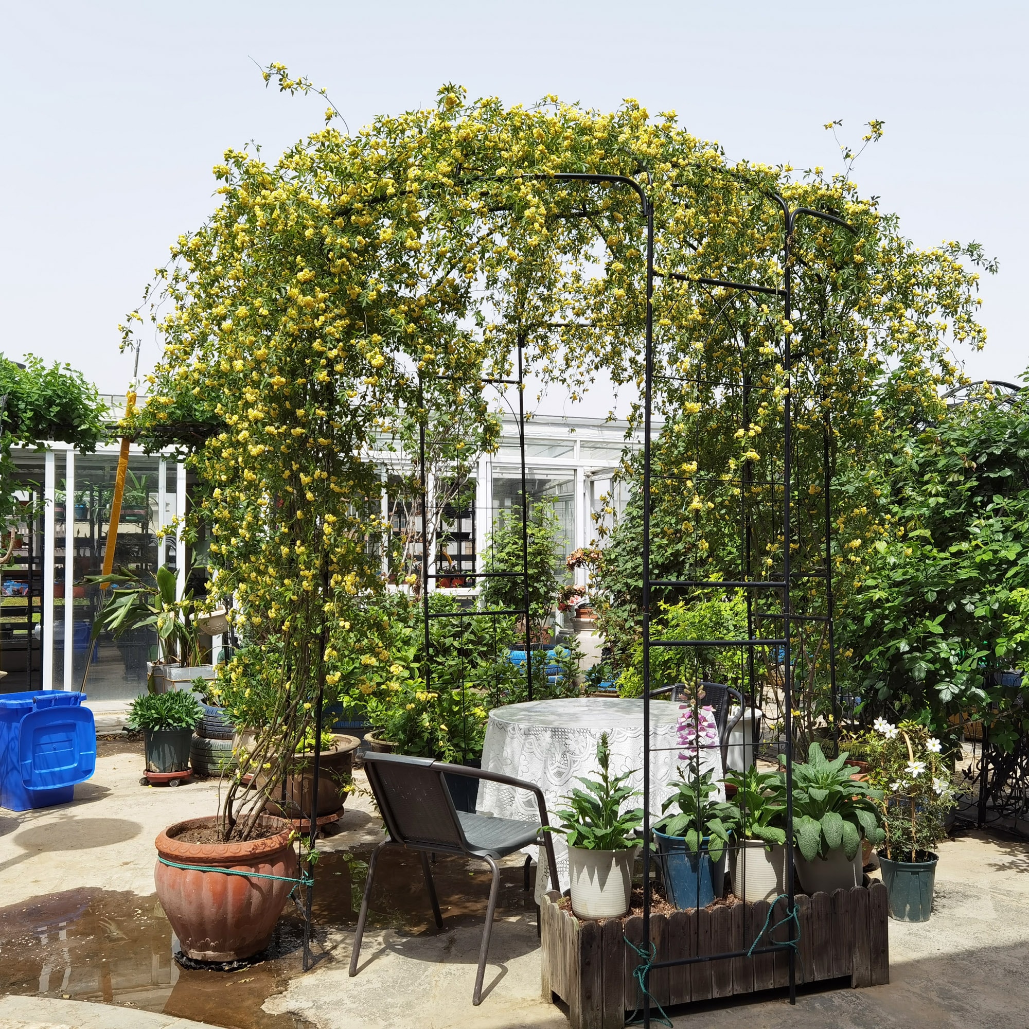 Damerin ZLY-19F Garden-Trellis - View #5