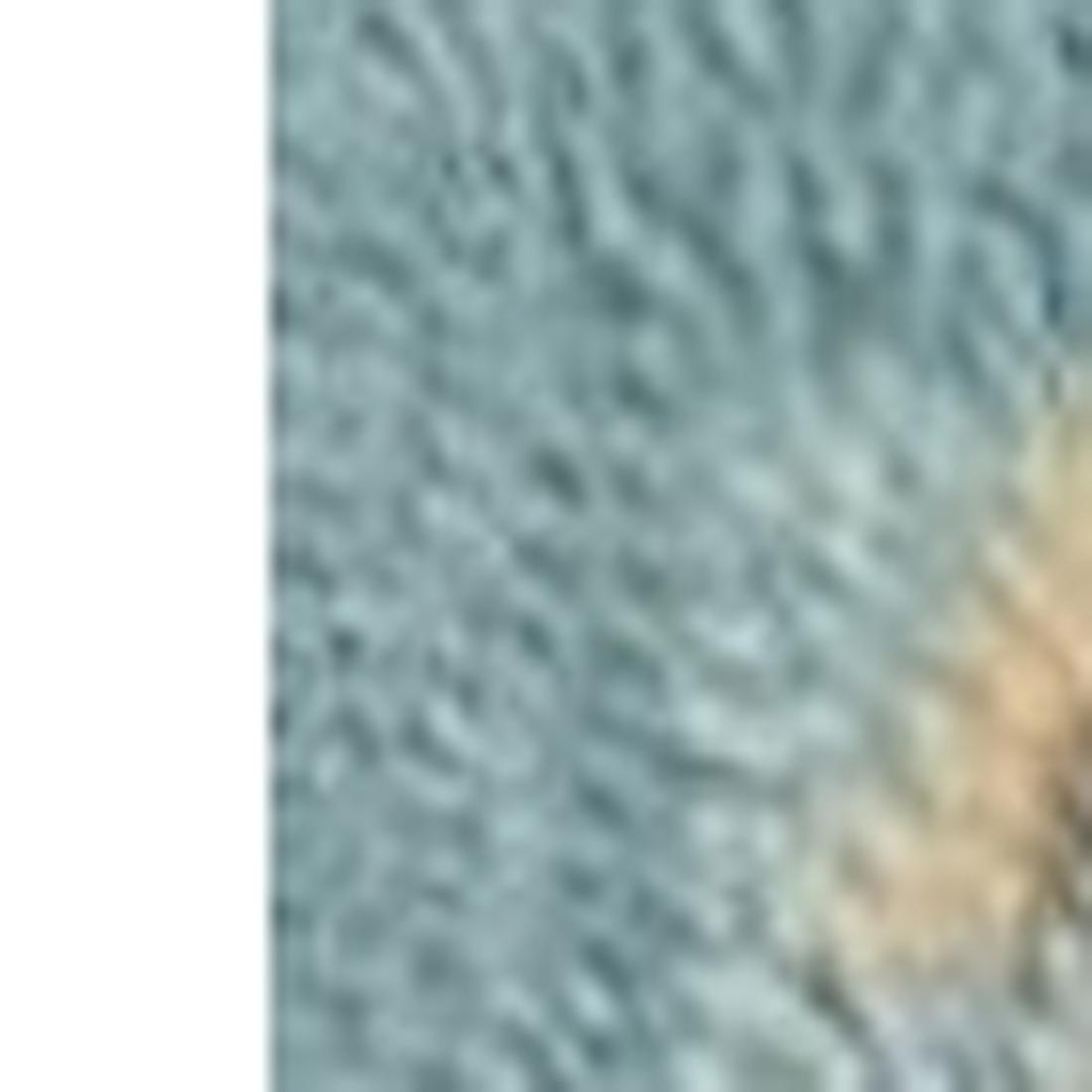 HomeRoots 353392 rugs - View #7