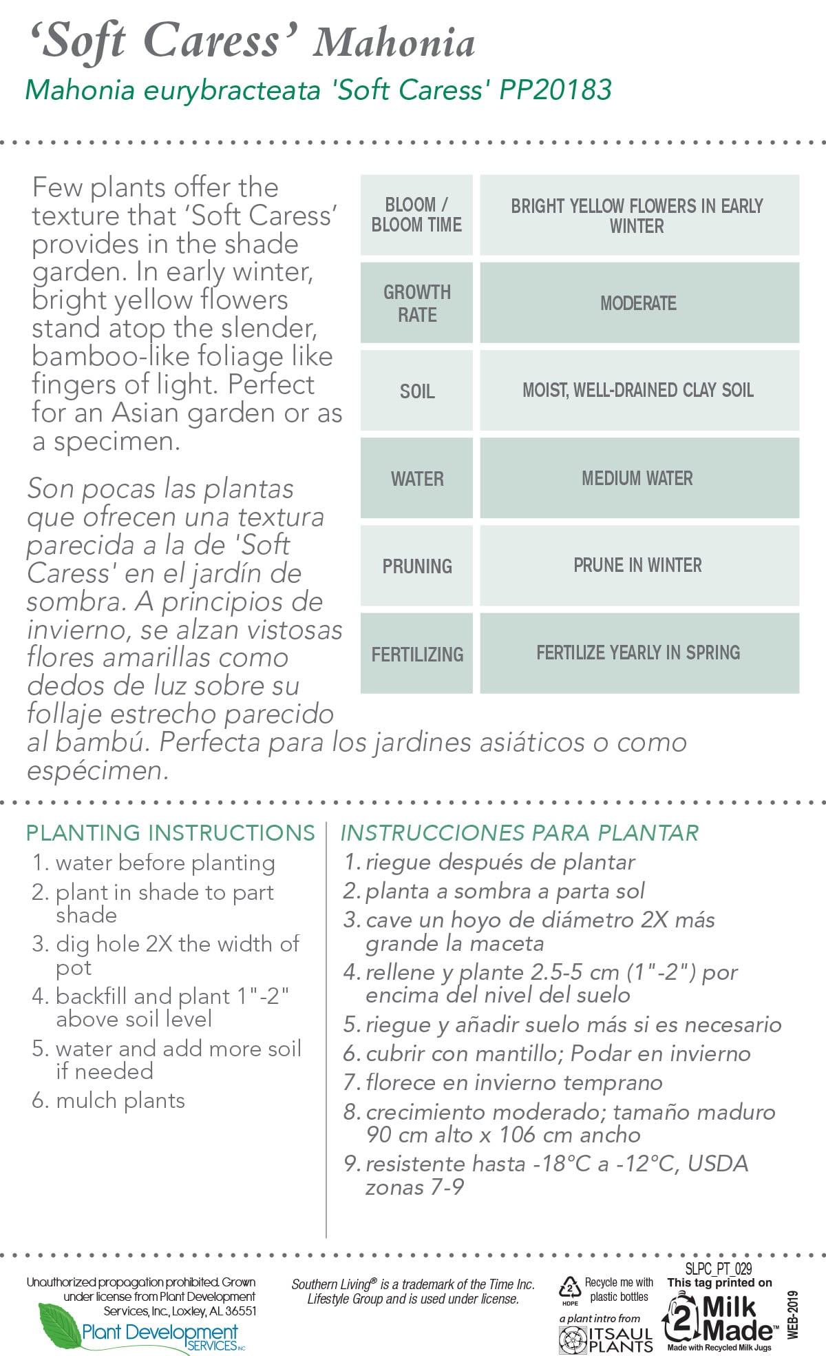 Southern Living Plant Collection 4126Q-1 shrubs - View #5