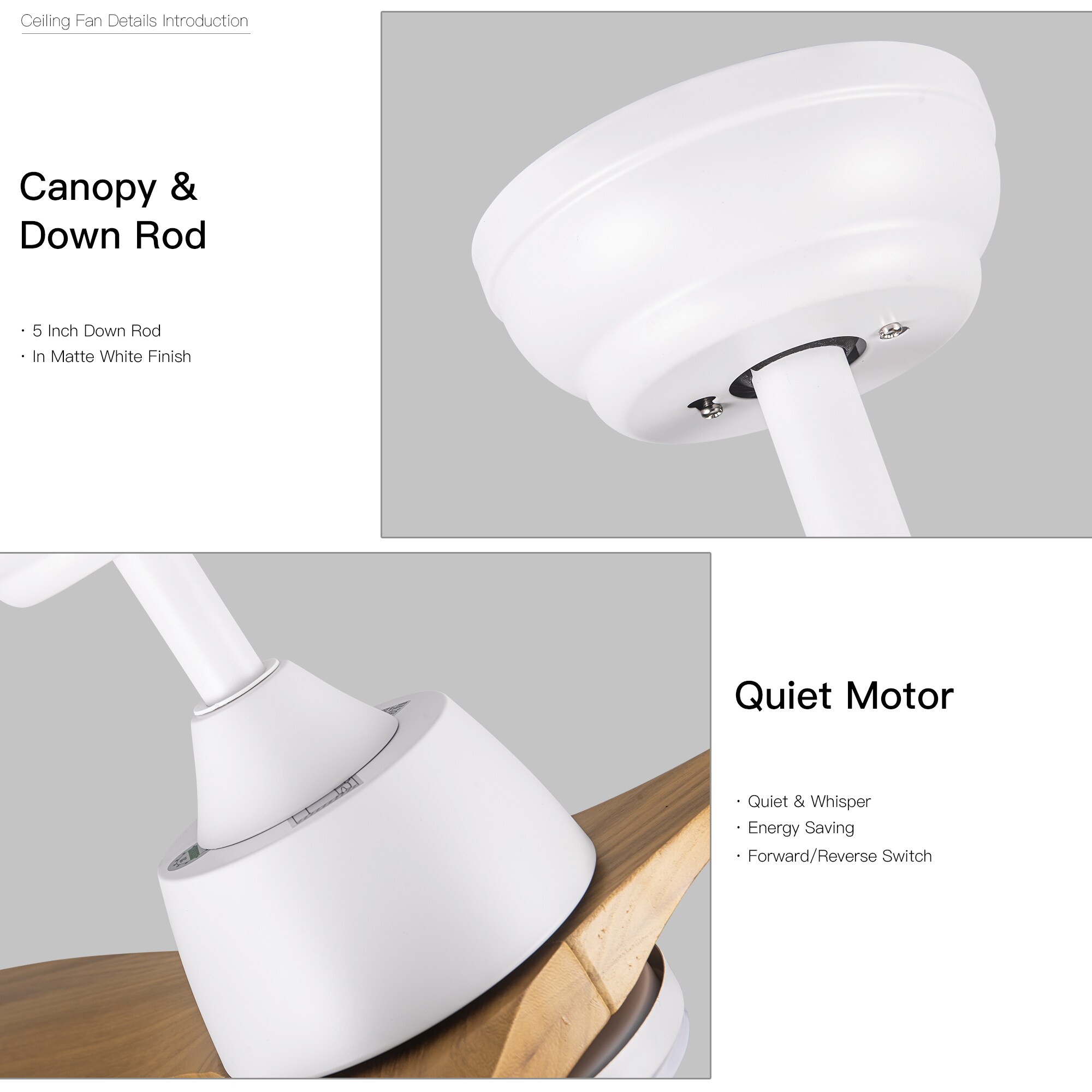 Tatayosi DJ-P171134 Ceiling-Fans - View #4