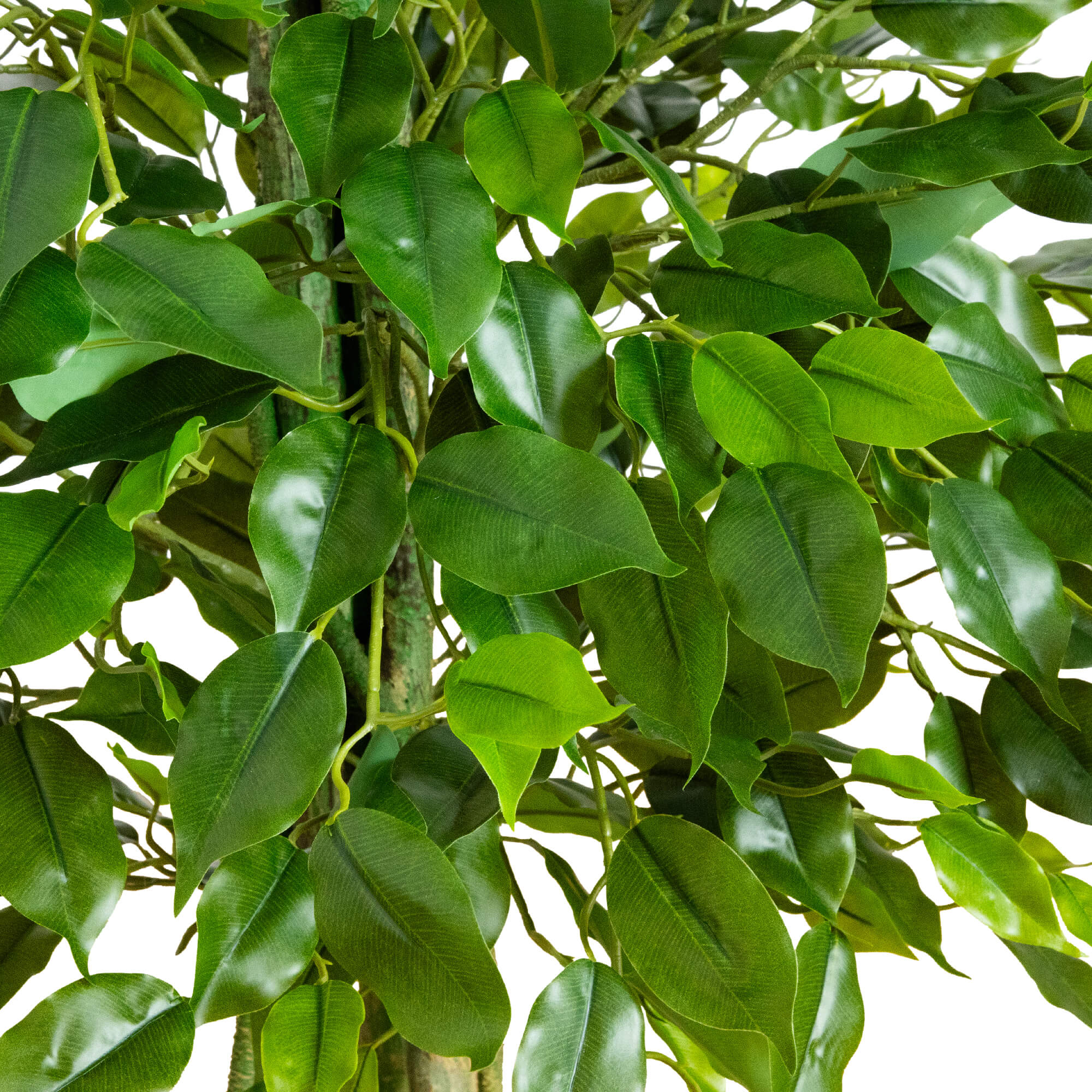 Nearly Natural T5176 Artificial-Plants-Trees - View #2