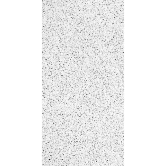 Armstrong Ceilings 24-in x 24-in Textured Contractor 16-Pack White Fissured 15/16-in Drop Acoustic Panel Ceiling Tiles Armstrong Ceilings 24-in x 24-in Textured Contractor 16-Pack White Fissured 15/16-in Drop Acoustic Panel Ceiling Tiles