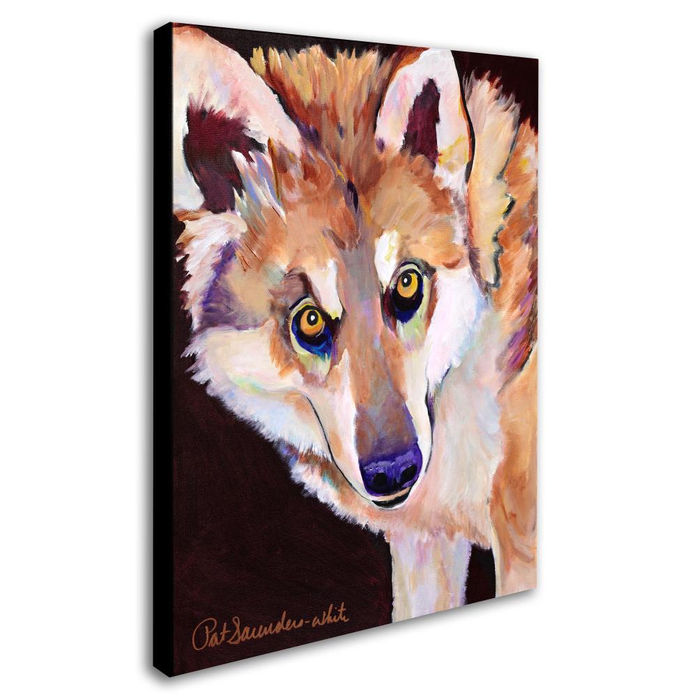 Trademark Fine Art PS113-C1419GG Wall-Art - View #2
