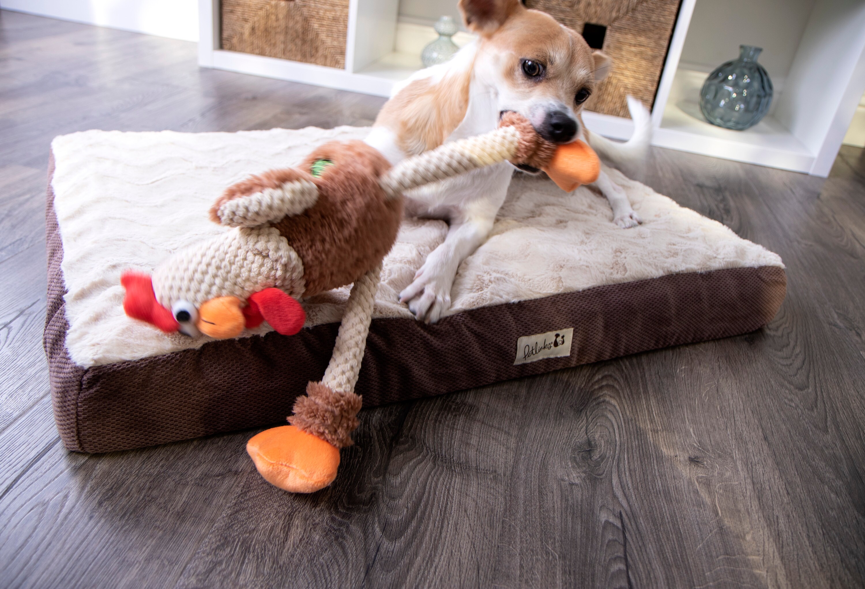 goDog 70881-48987-024 Dog-Toys - View #4