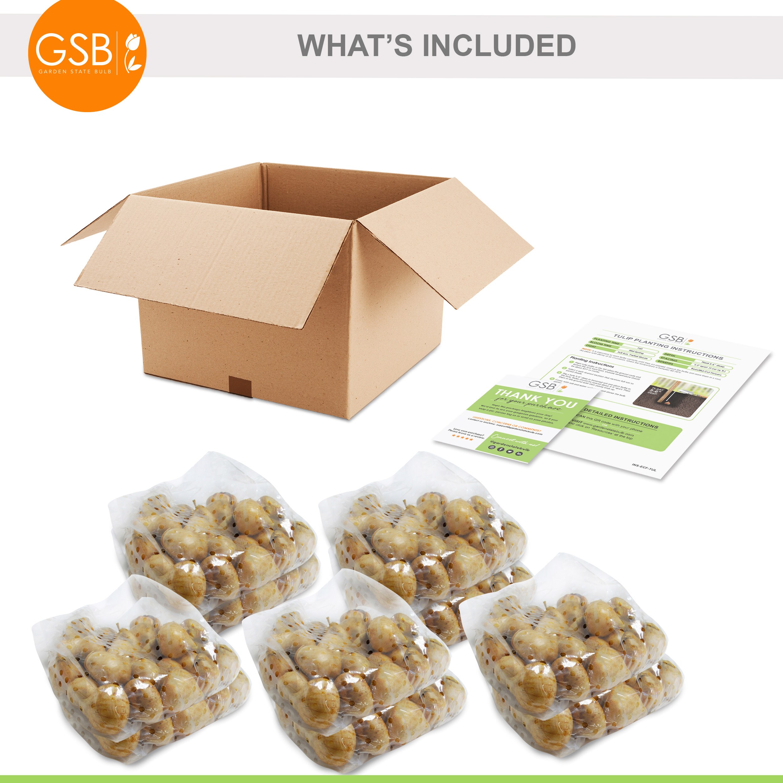 Garden State Bulb ECF-41-250-10 Plant-Bulbs - View #7