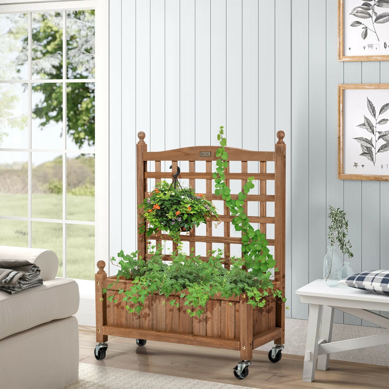 Ayelon GD37GT4 Garden-Trellis - View #10