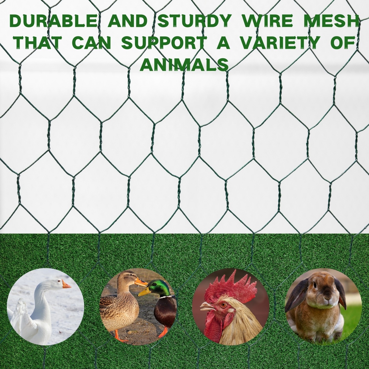 Mondawe MO-SL-S0008 Chicken-Coops-Rabbit-Hutches - View #6