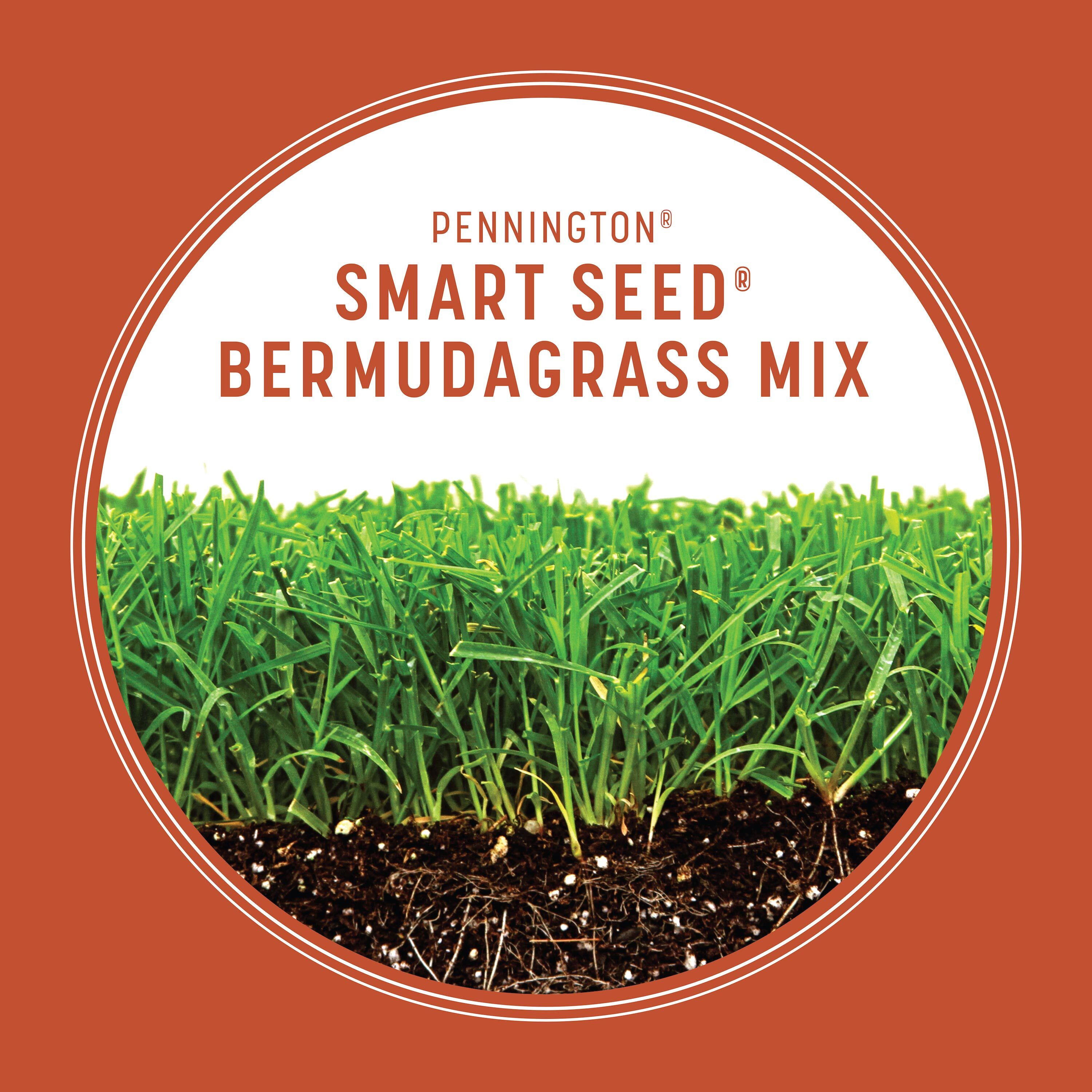 Pennington 100543735 Grass-Seed - View #7
