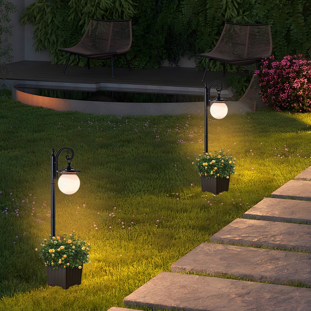 C Cattleya LCA2505-JUN-P Complete-Post-Lights - View #8