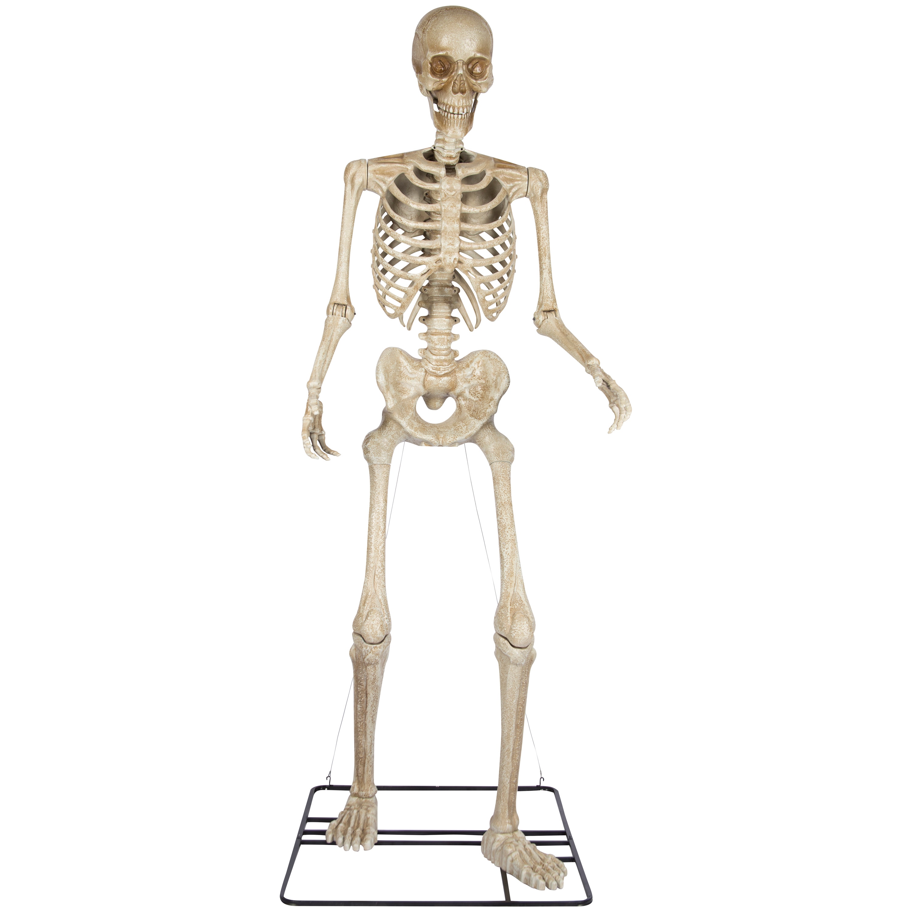 Haunted Living 556534 10.2 Freestanding Life-size-Non animated Skeleton Yard decoration