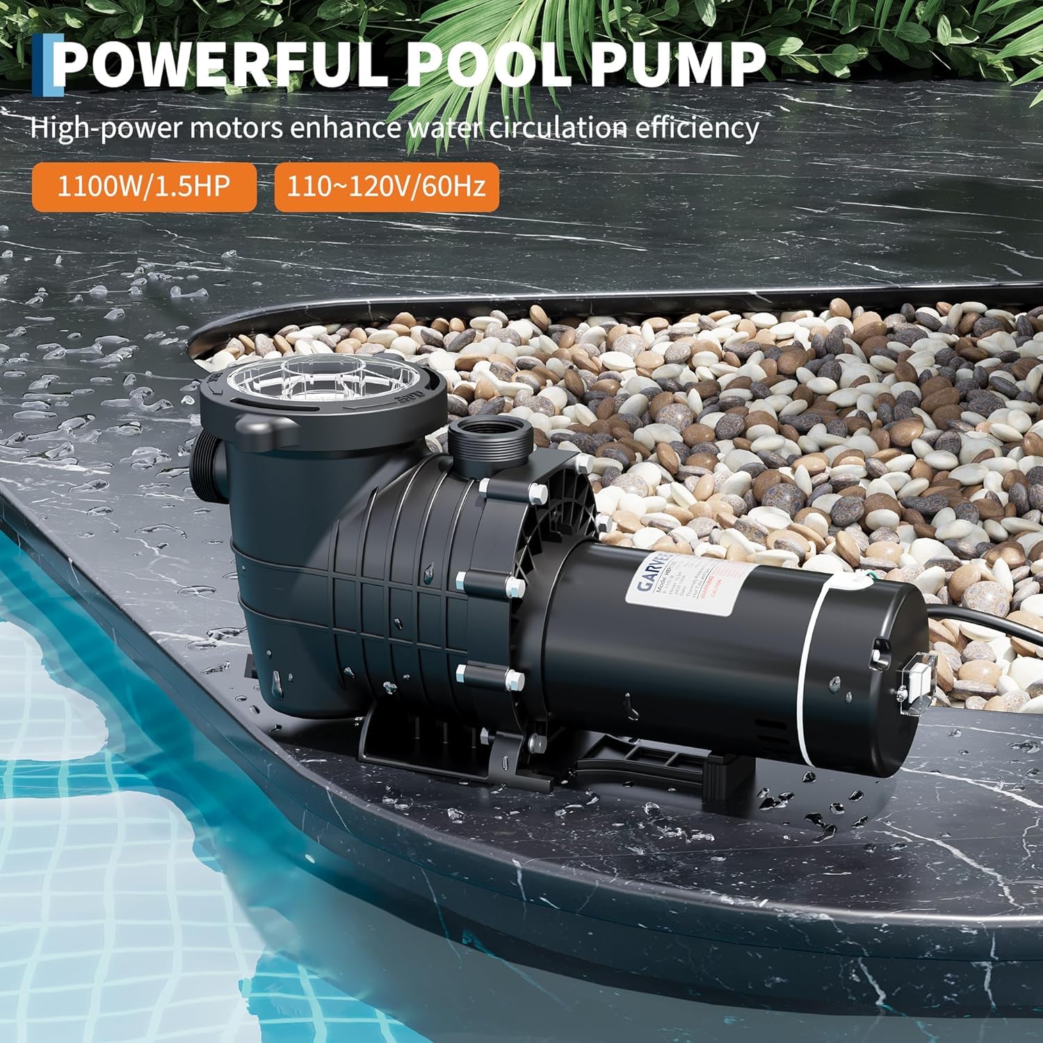 DEXSO ENCOREPPGBA9662 Pool-Pumps - View #5