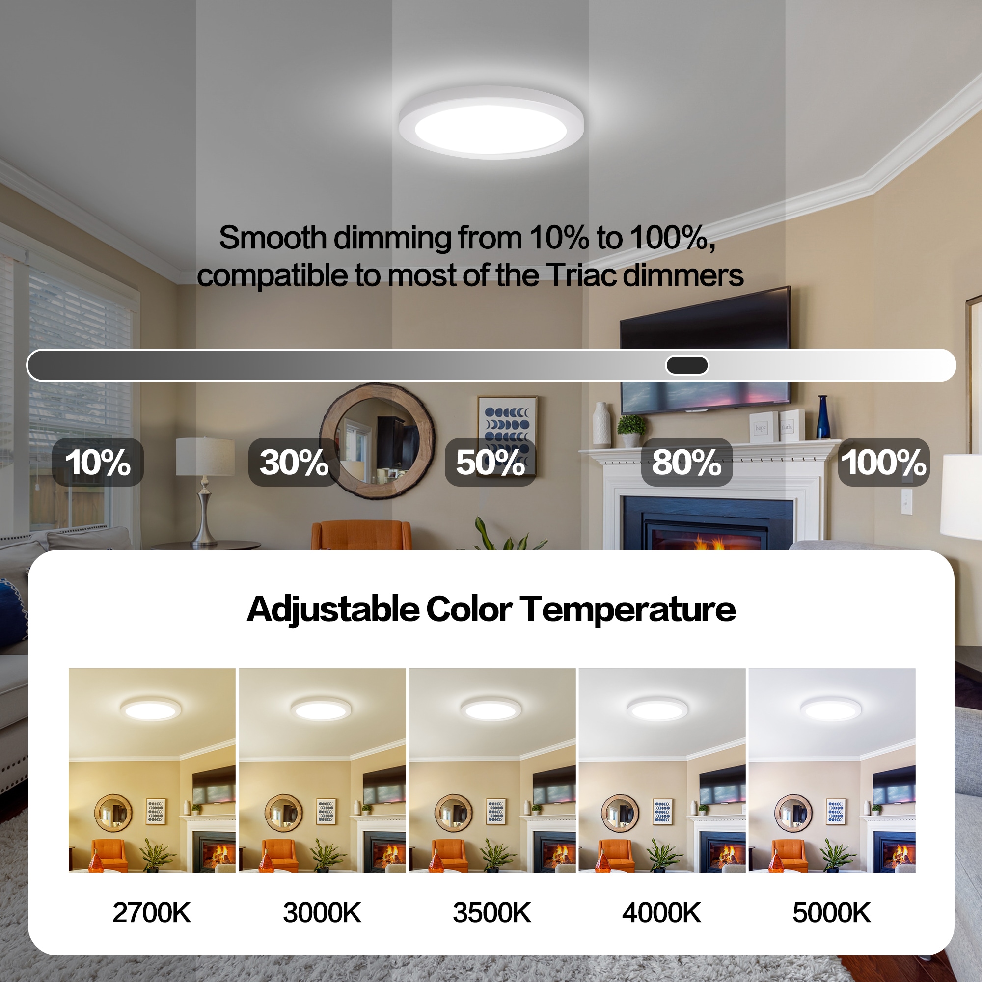 Energetic Lighting E5DL11-92750 flushmounts - View #3