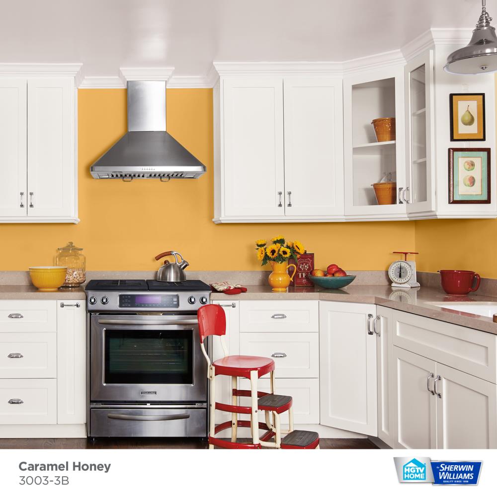 HGTV HOME by Sherwin-Williams 3003-3B-935224 Int-Ext-Paint - View #2