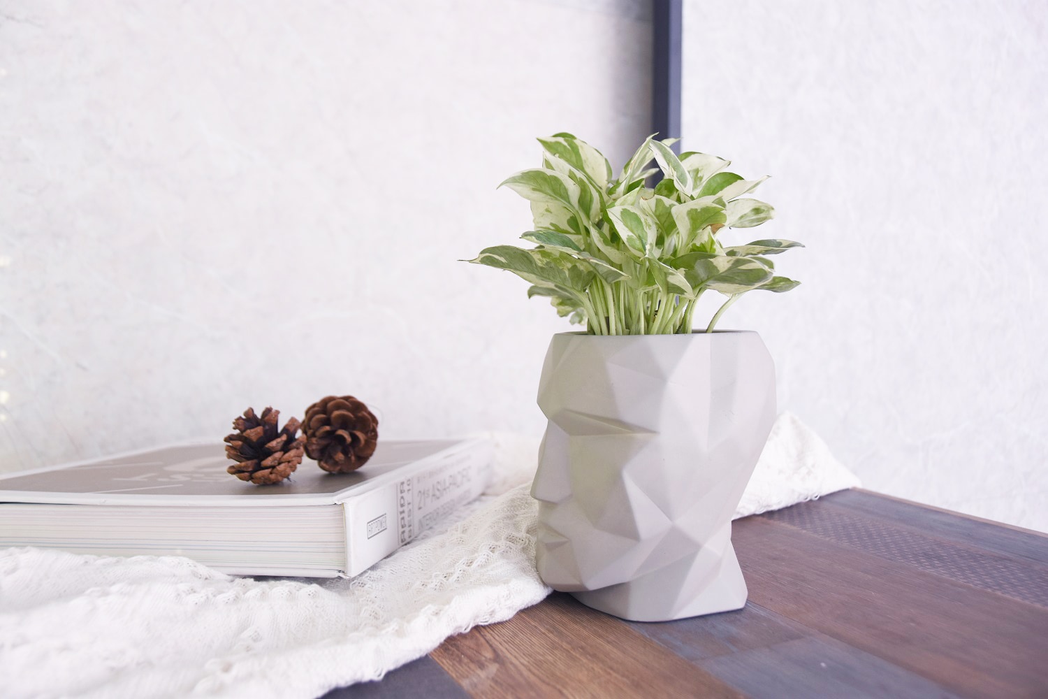 Modeno EN-MF2193M Planter-Window-Box - View #5