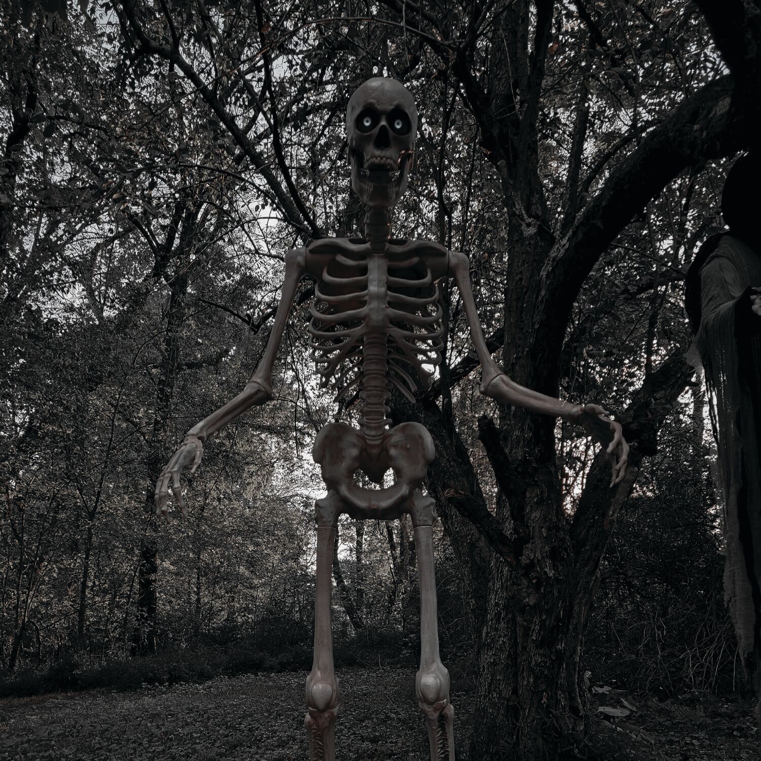 Haunted Hill Farm HHTWRSKEL-2FLSA Halloween-Animatronics - View #19