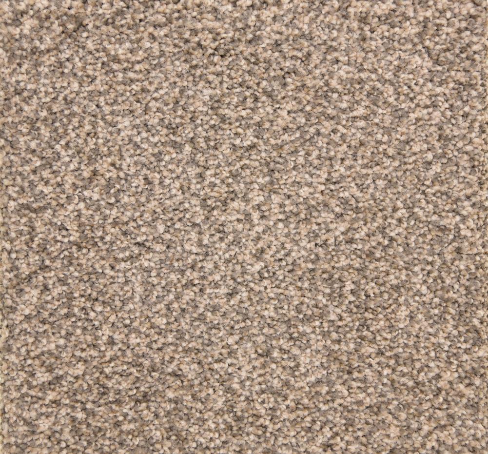 STAINMASTER DL022-118S (Sample) PetProtect Pilgrim Stoop Textured Carpet