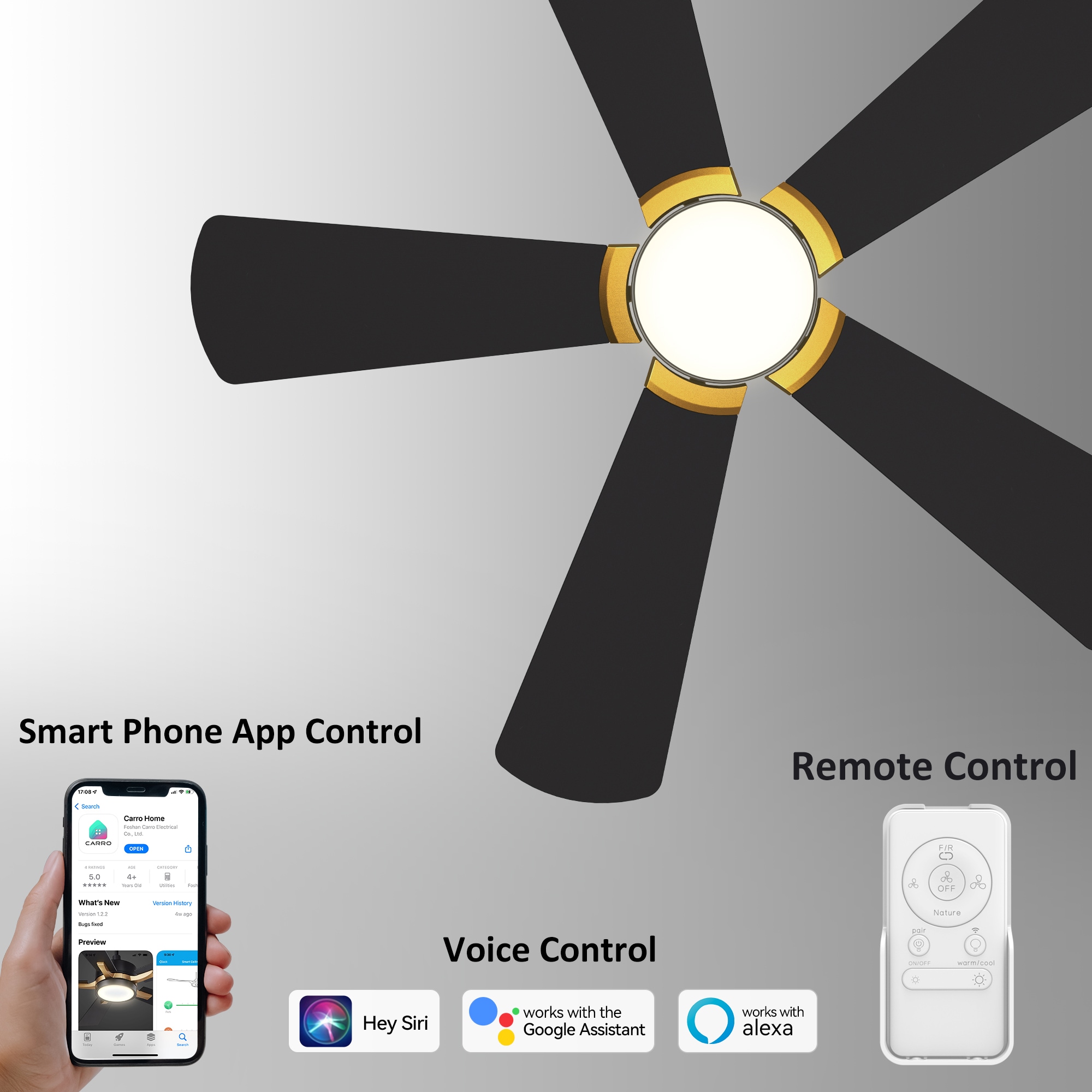 CARRO USA Bradford 52-in Black Indoor/Outdoor Smart Ceiling Fan with Light and Remote (5-Blade) LS525B6-L12-B2-1G Sansujyuku sansujyuku.com