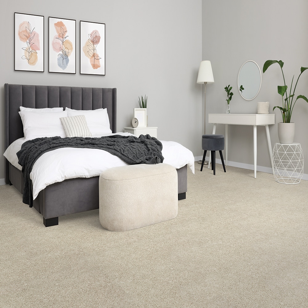 STAINMASTER SS038-L001-S0808 Carpet-Samples - View #2