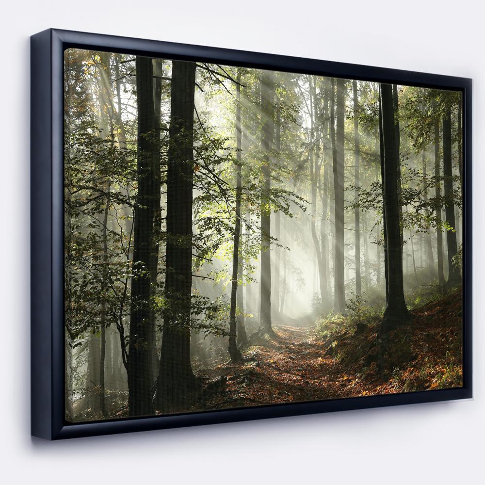 Designart FL9835-22-14-FLB Wood Floater frame 14-Inches H x 22-Inches W Landscape Canvas Print