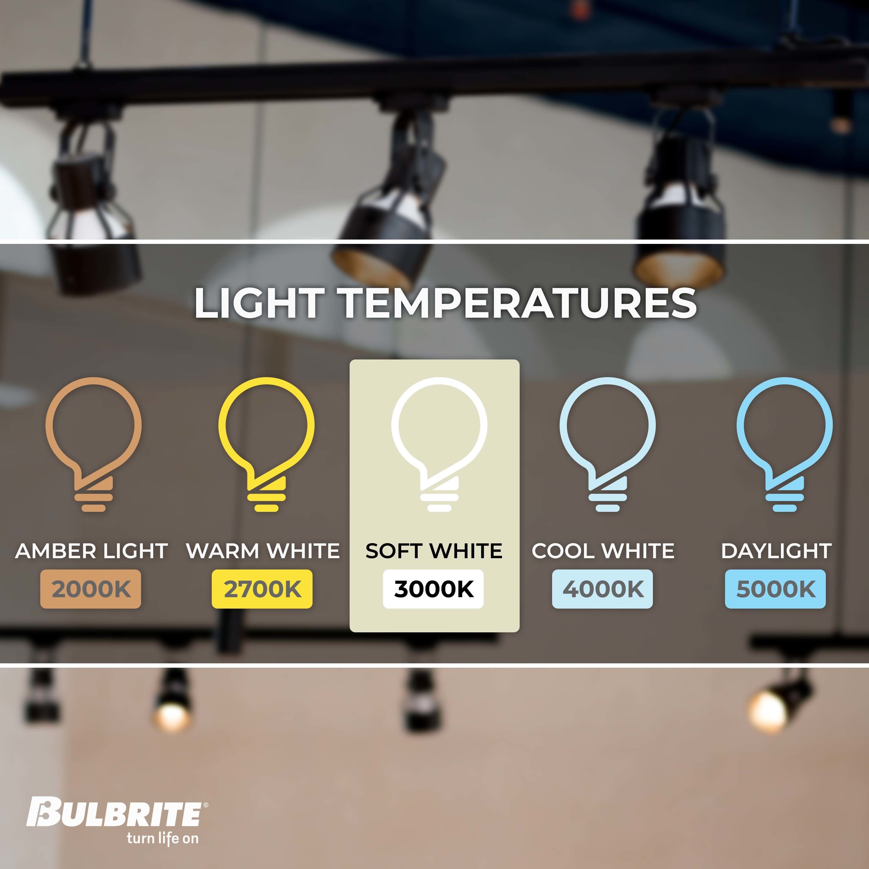 Bulbrite 861784 Led-Flood-Spot-Light-Bulbs - View #4