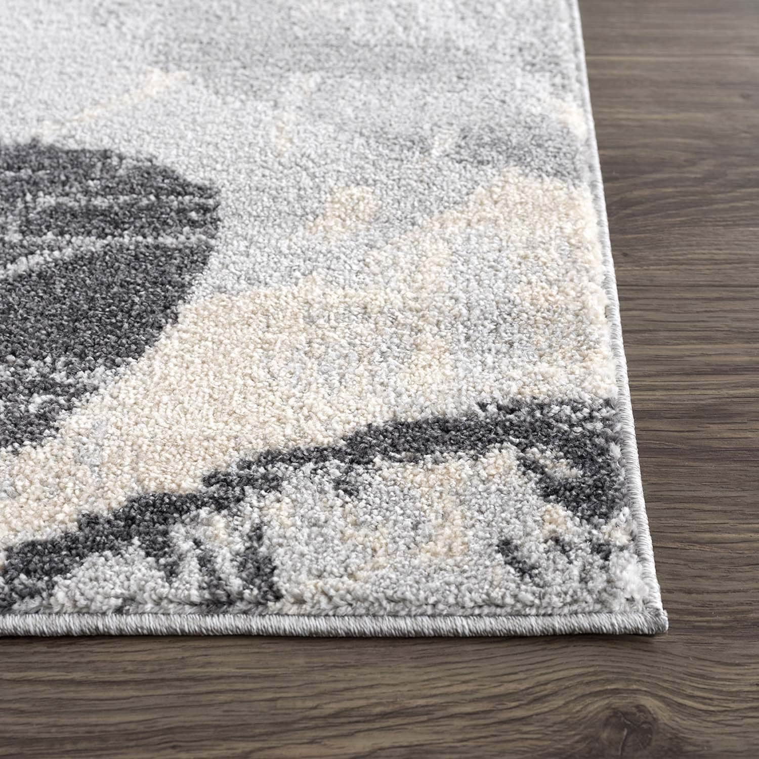 Abani Rugs SAH160A-4 rugs - View #3