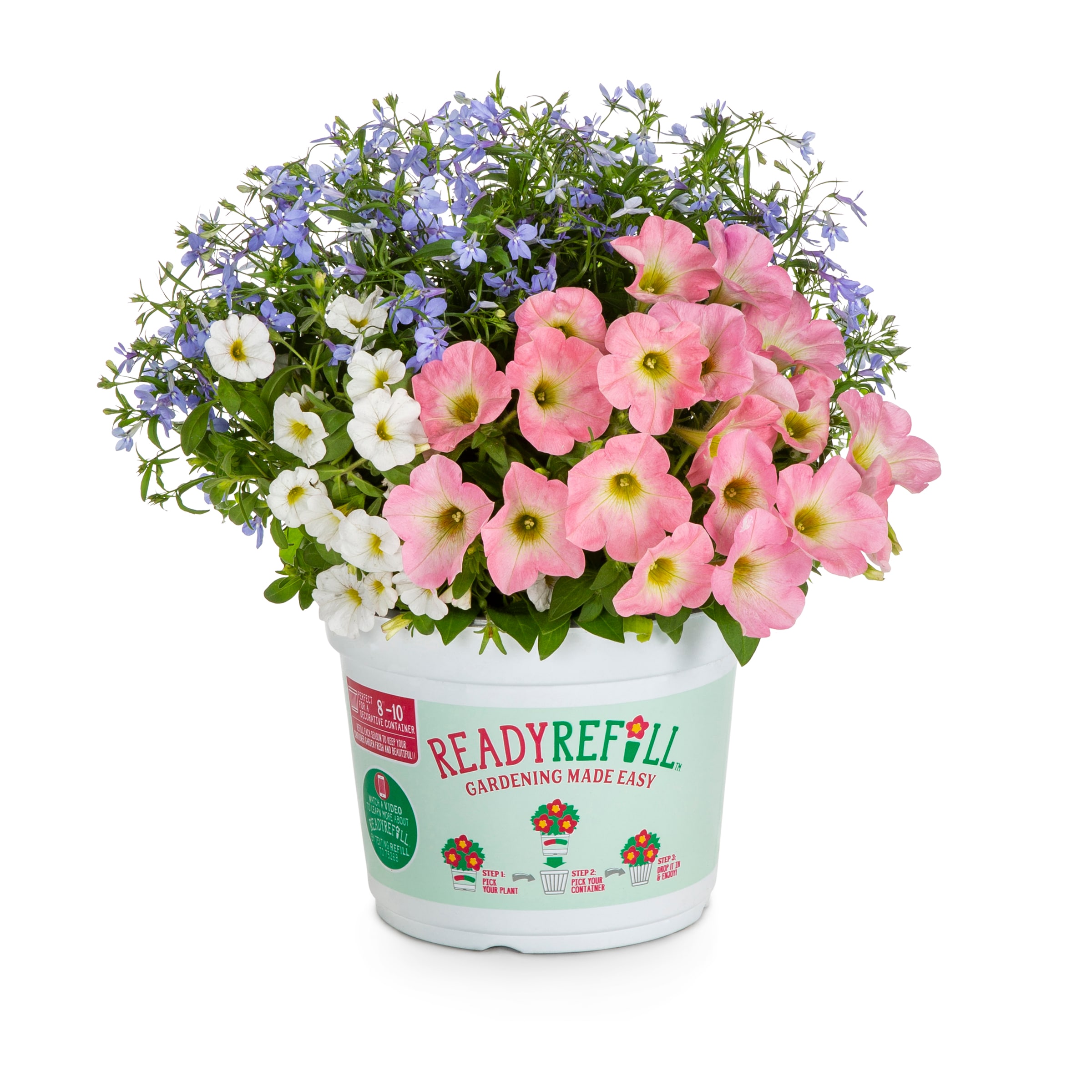 Ready Refill NURSERY Multicolor Mixed Annuals Combinations in 3-Quart Pot