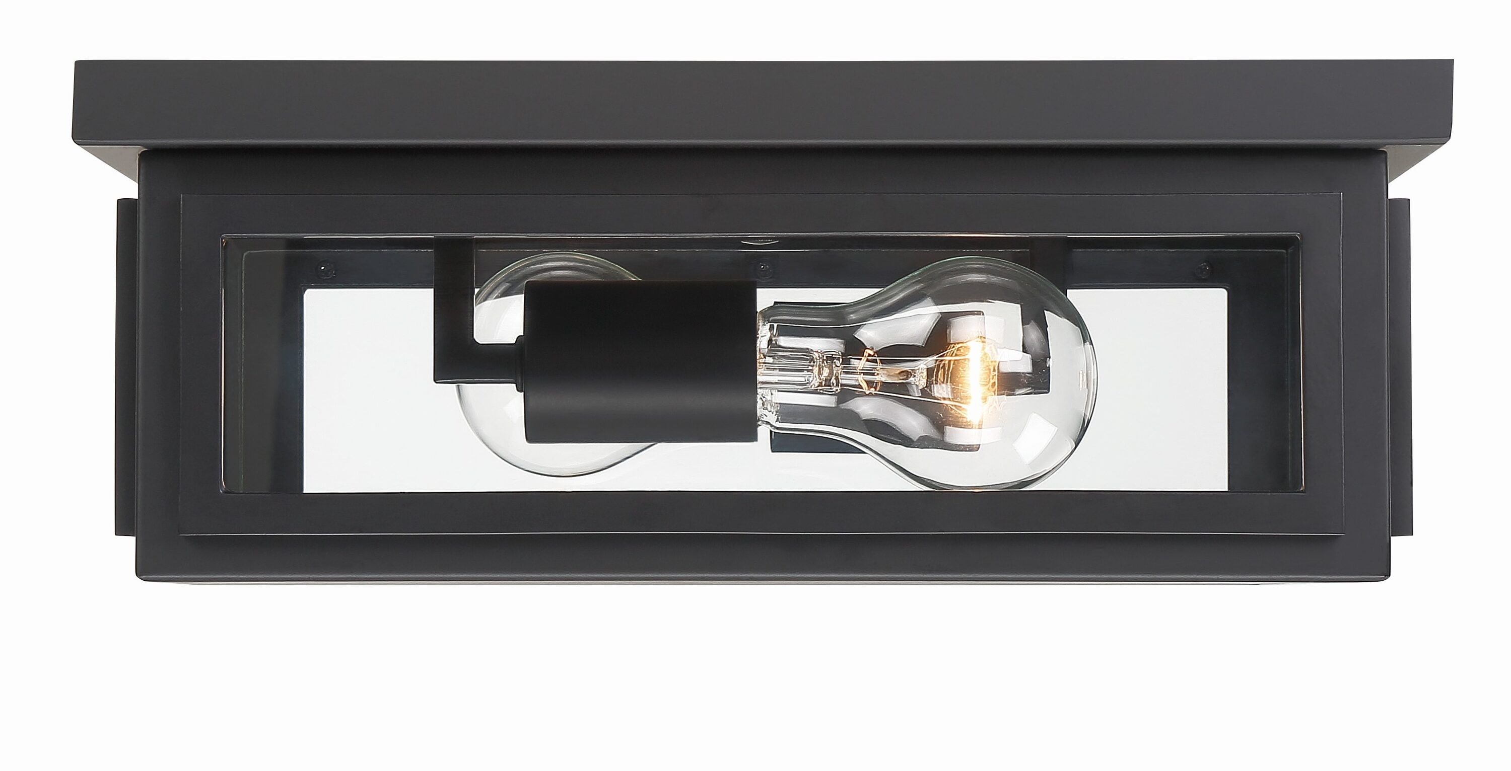 Matte Black and Clear Glass 2-Light Outdoor Flush Mount