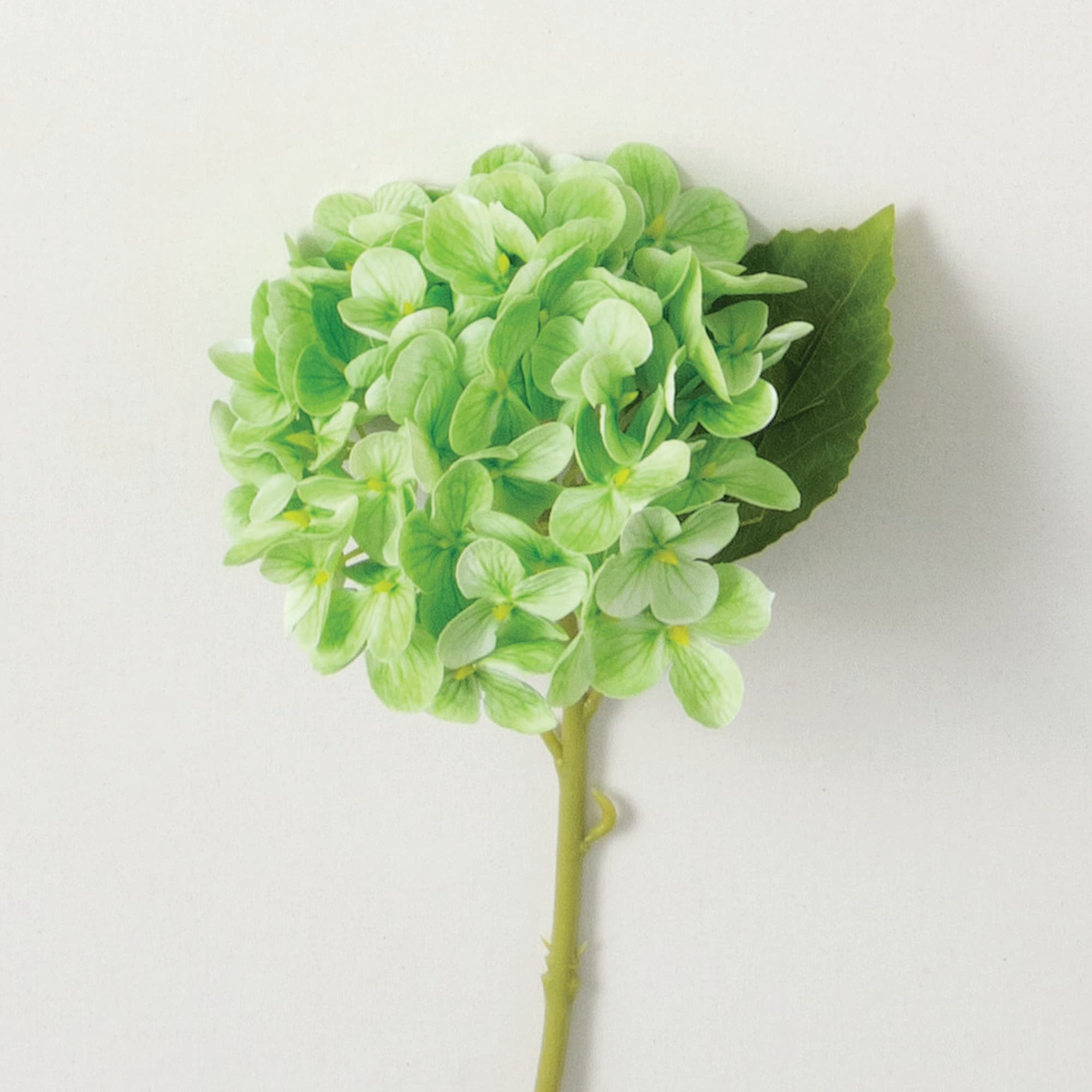 Sullivans GG991 GR 14.25-Inches Green Indoor Desktop Hydrangea Artificial flower