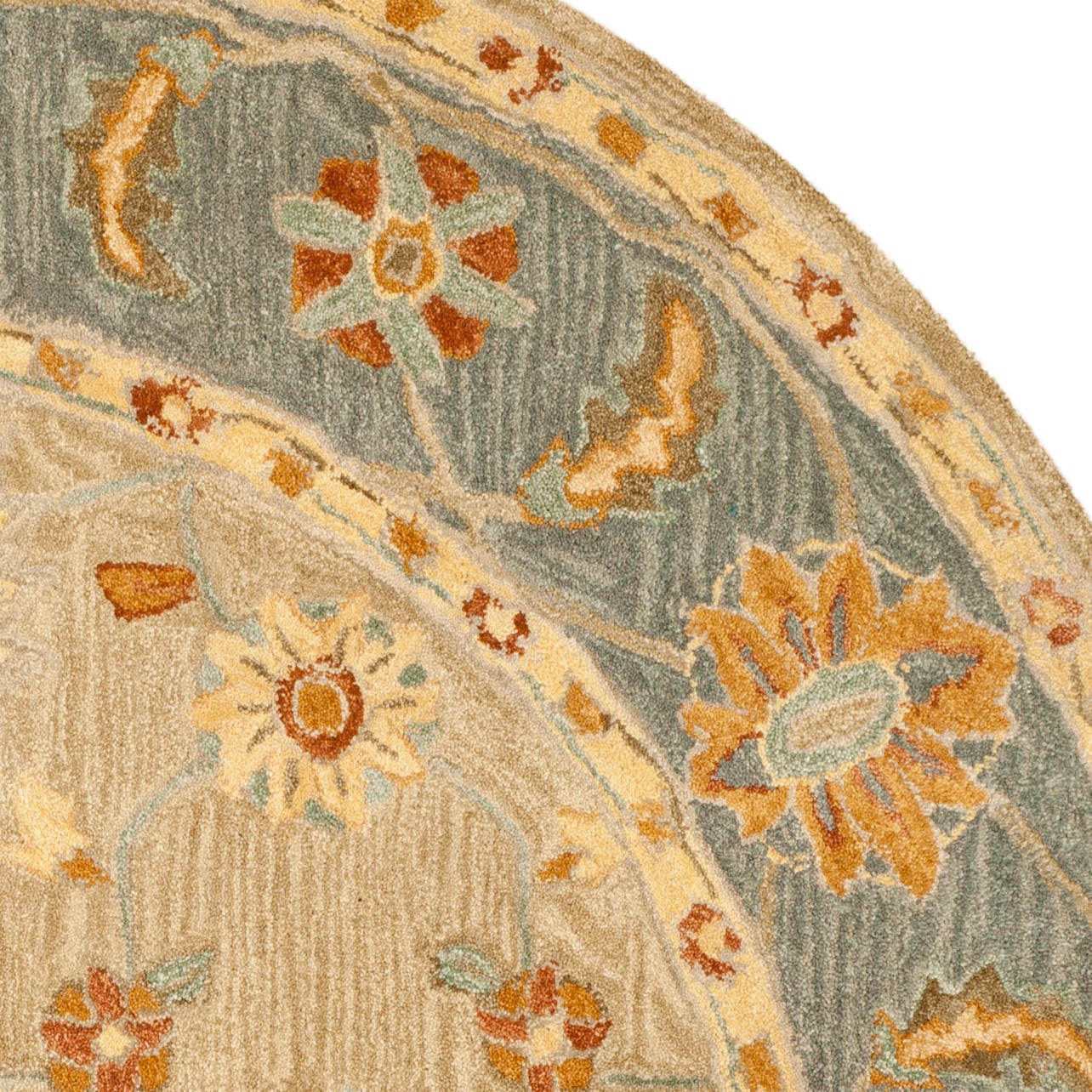 Safavieh AN561A-6R rugs - View #4