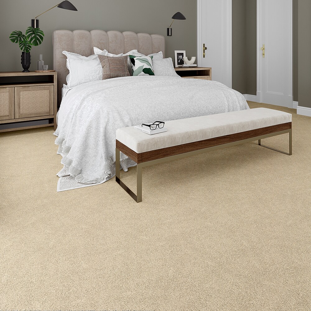 STAINMASTER STP36-L003-0808 Carpet-Samples - View #3
