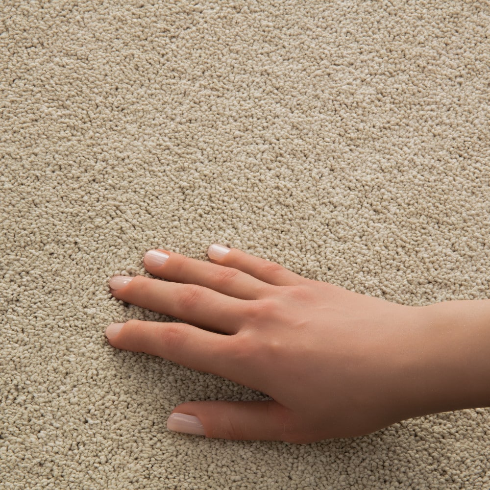 STAINMASTER PetProtect 7L97100102 Carpet-Panel - View #4