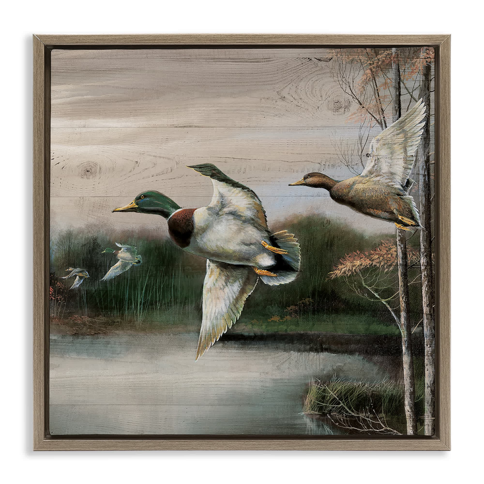 Stupell Industries BS-213-FFE-17X17 Flying Ducks in Rustic Nature Floating Frame design by Ruane Manning