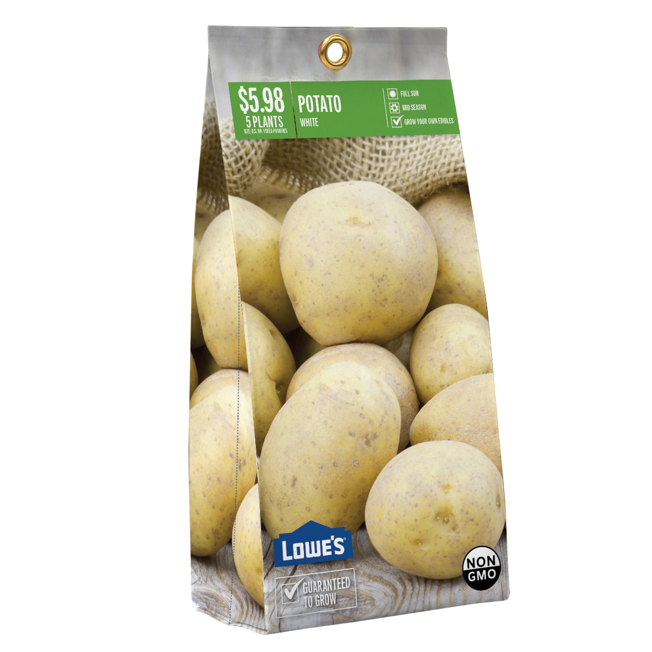  NURSERY SEED POTATO WHITE PBS