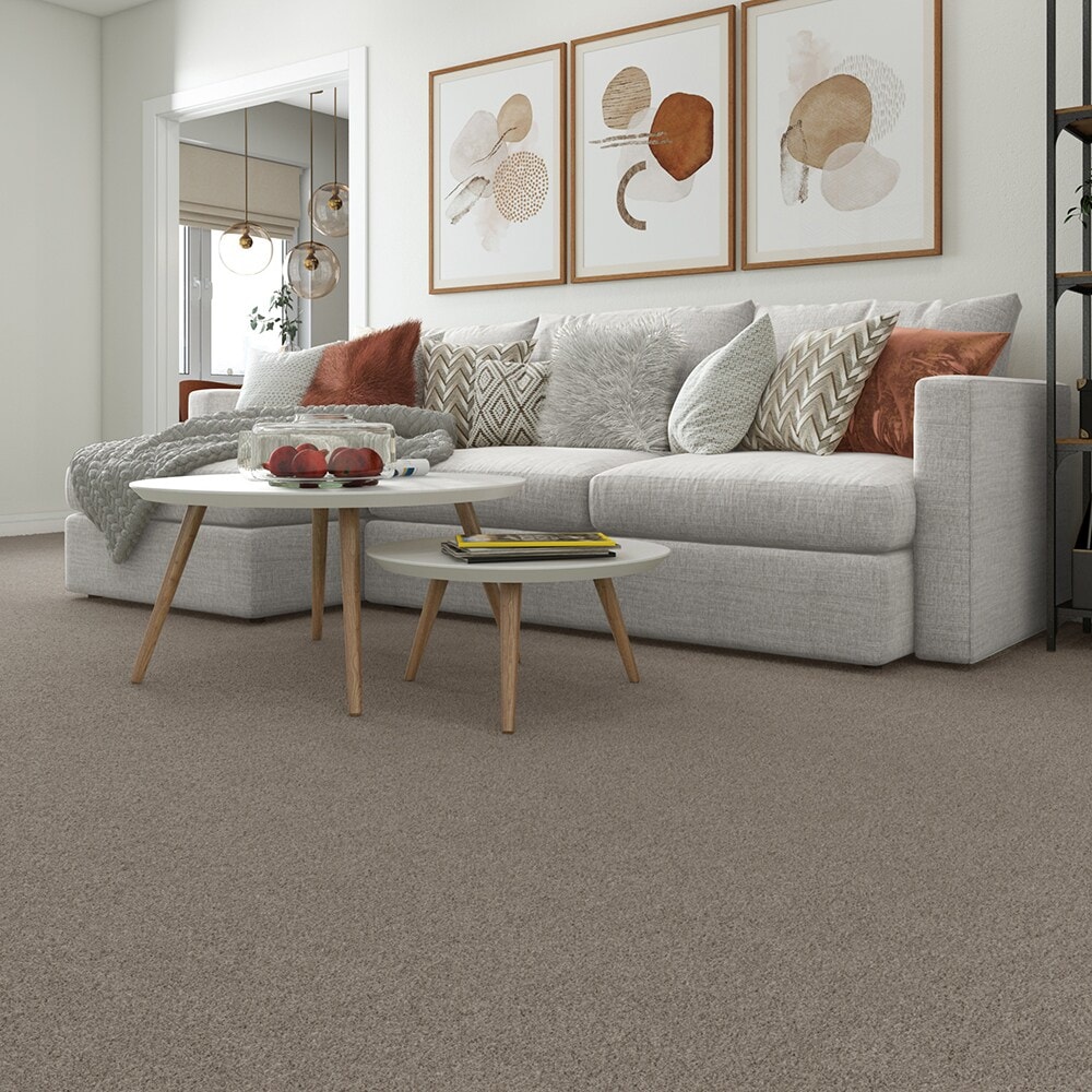 Style Selections CCV05-L011-0808 Carpet-Samples - View #2